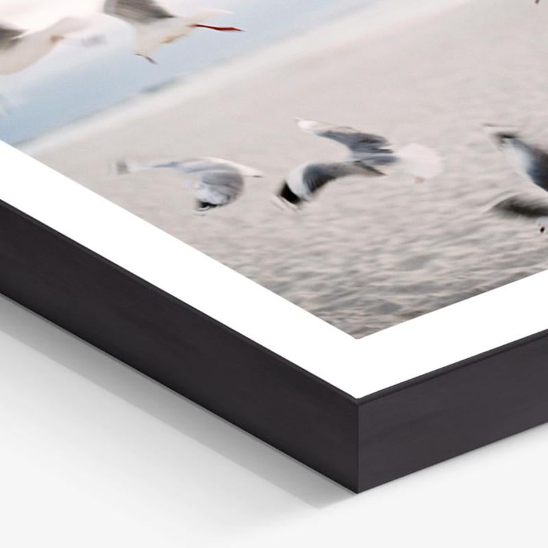 Seagulls - Zeitgenössische Farblandschaft Analogfotografie Medium Format (Grau), Color Photograph, von Pia Clodi
