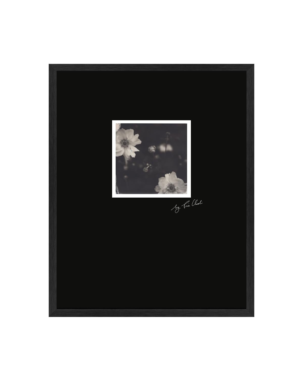 Fleur Du Mal - Photographie polaroid originale en noir et blanc encadrée de Pia Clodi
