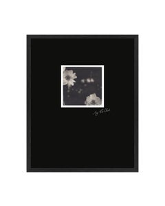 Fleur Du Mal - Black & White Original Polaroid Photograph by Pia Clodi Framed