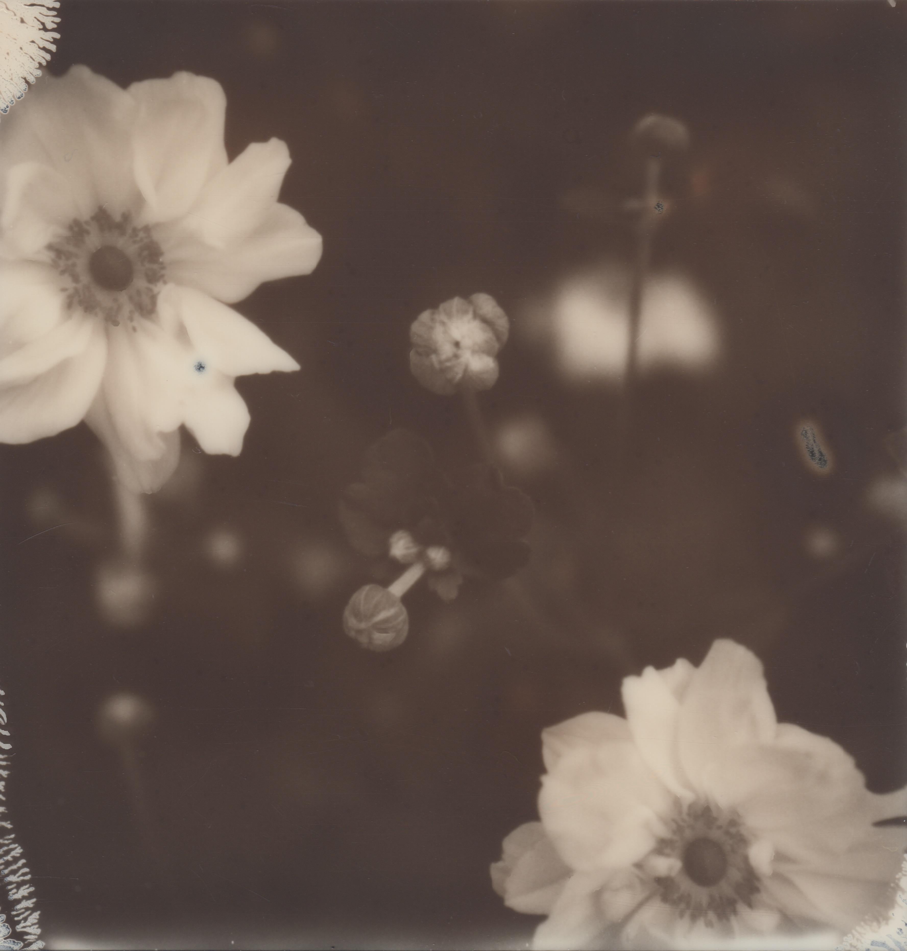 Fleur Du Mal - Schwarzweiße Original-Poloroid-Fotografie von Pia Clodi, gerahmt im Angebot 1