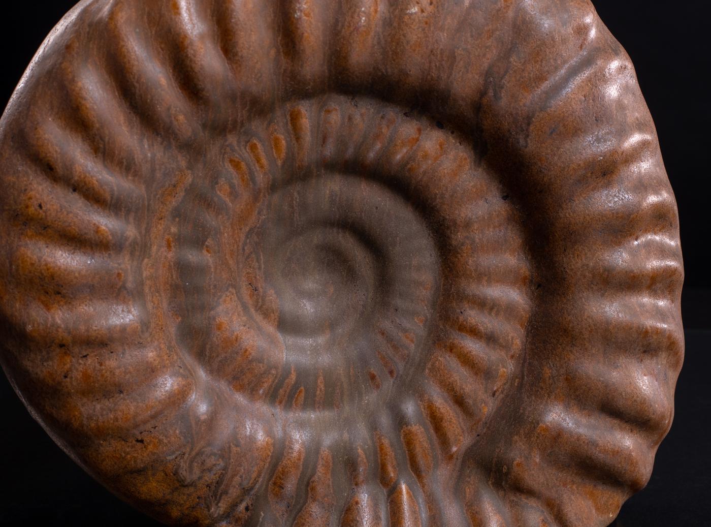 Organische Ammonitenvase von Schäffenacker, Modernist um 1950 im Angebot 1