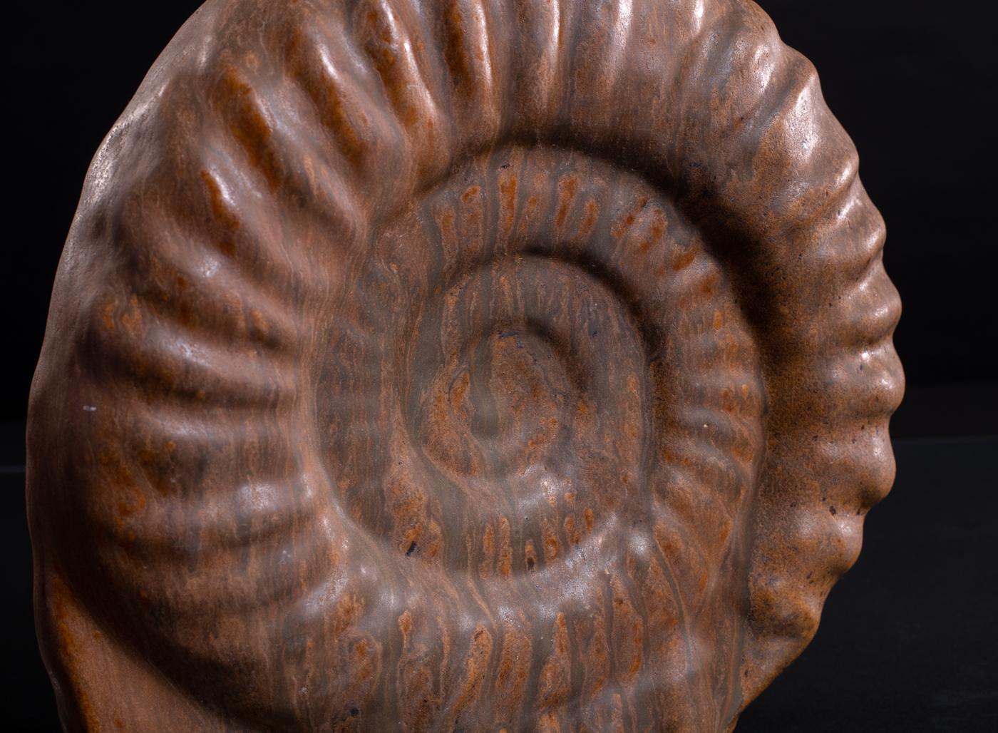 Organic Ammonite Vase by Schäffenacker, Modernist c. 1950 For Sale 5