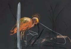 London Zoo Ibis (self-filmed) - Contemporary Animal Pastel Drawing