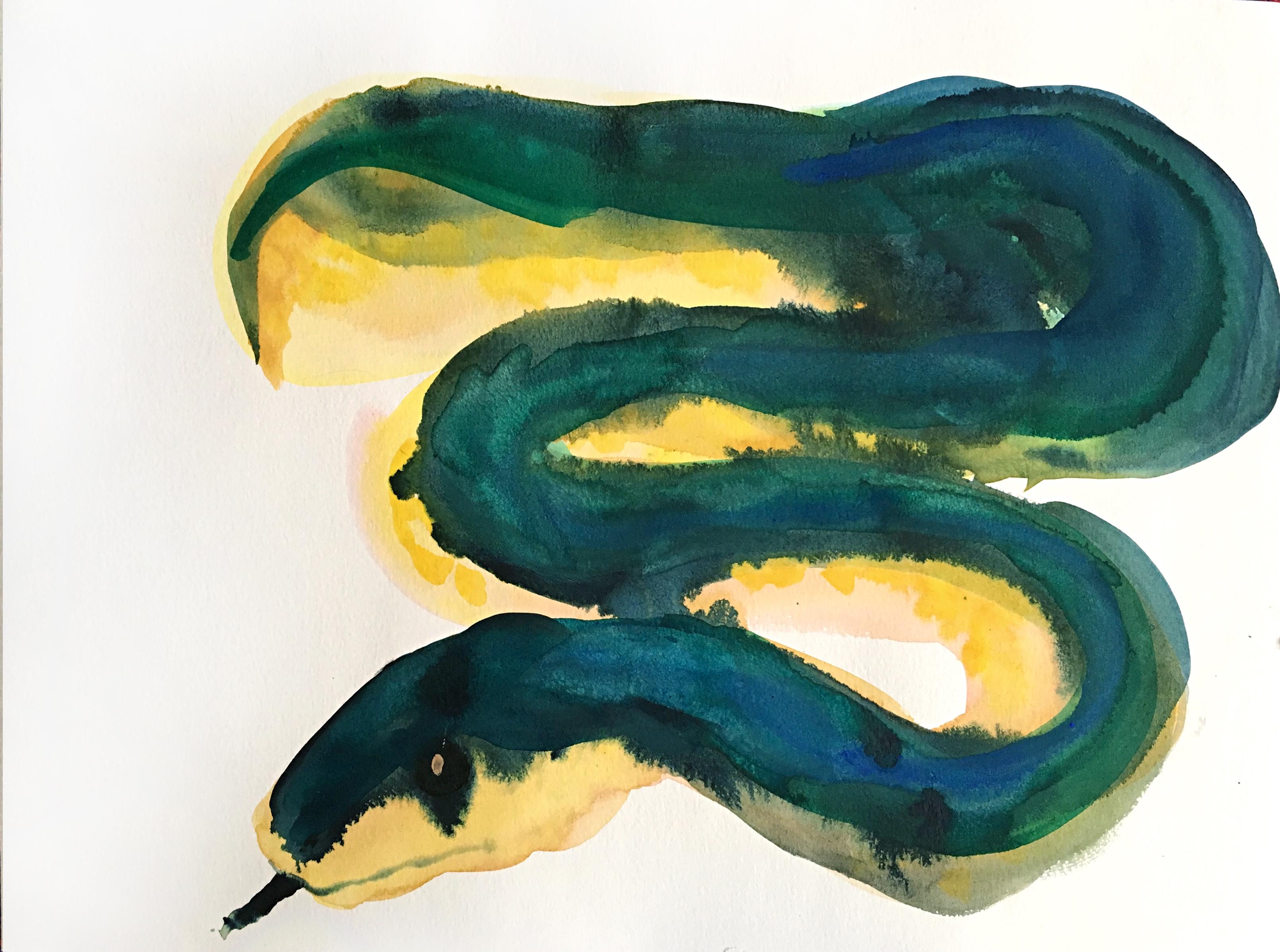 Tina Ribarits Animal Art - Snake - 21st Century Animal Drawings and Watercolors Yellow Green Unique