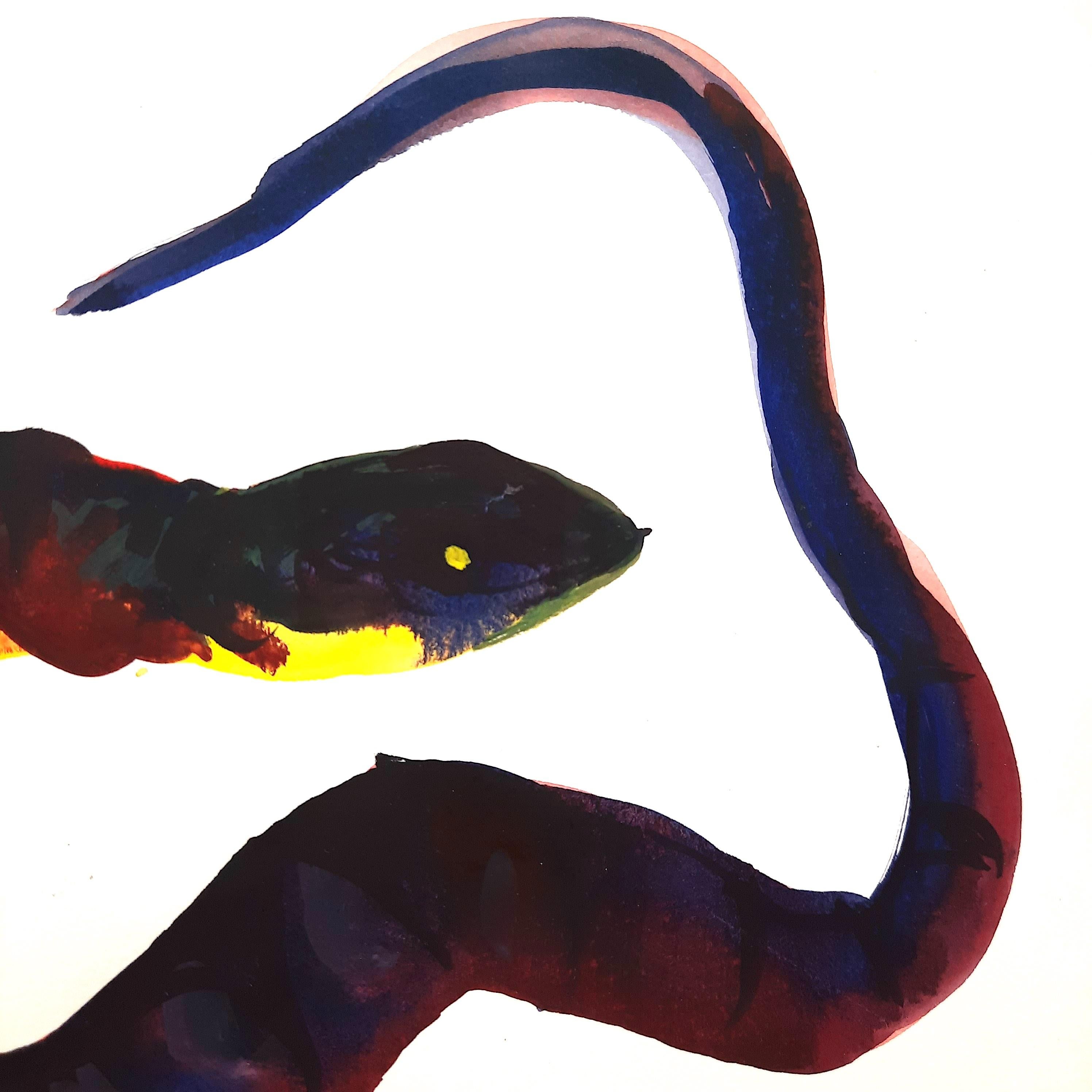Snake II - 21st Century Animal Drawings and Watercolors Red Blue Unique - Black Animal Art by Tina Ribarits