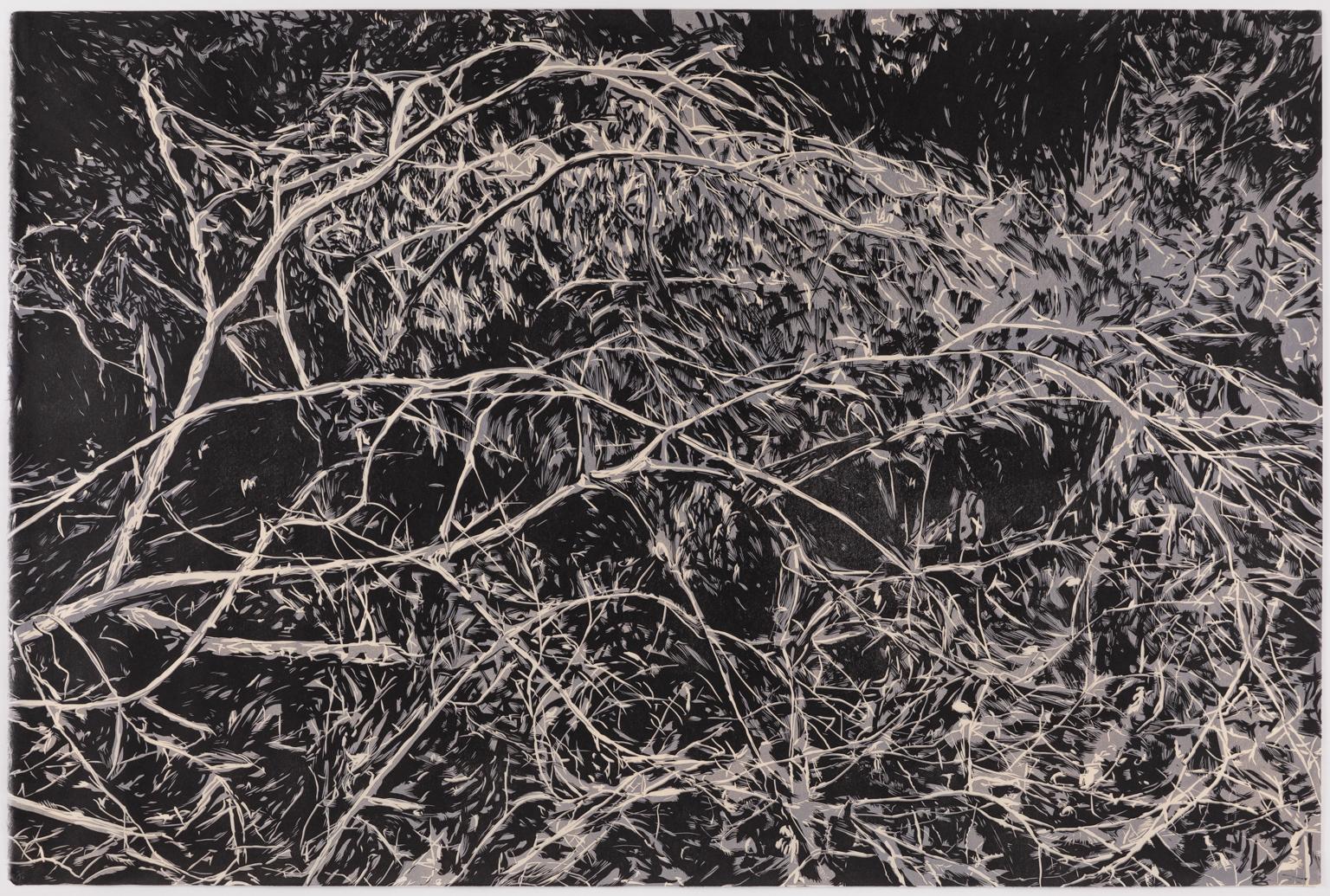 Hannah Skoonberg Landscape Print – Whirl - Großer Druck von verschlungenen Zweigen mit Blattwerk in Schwarz und Grau