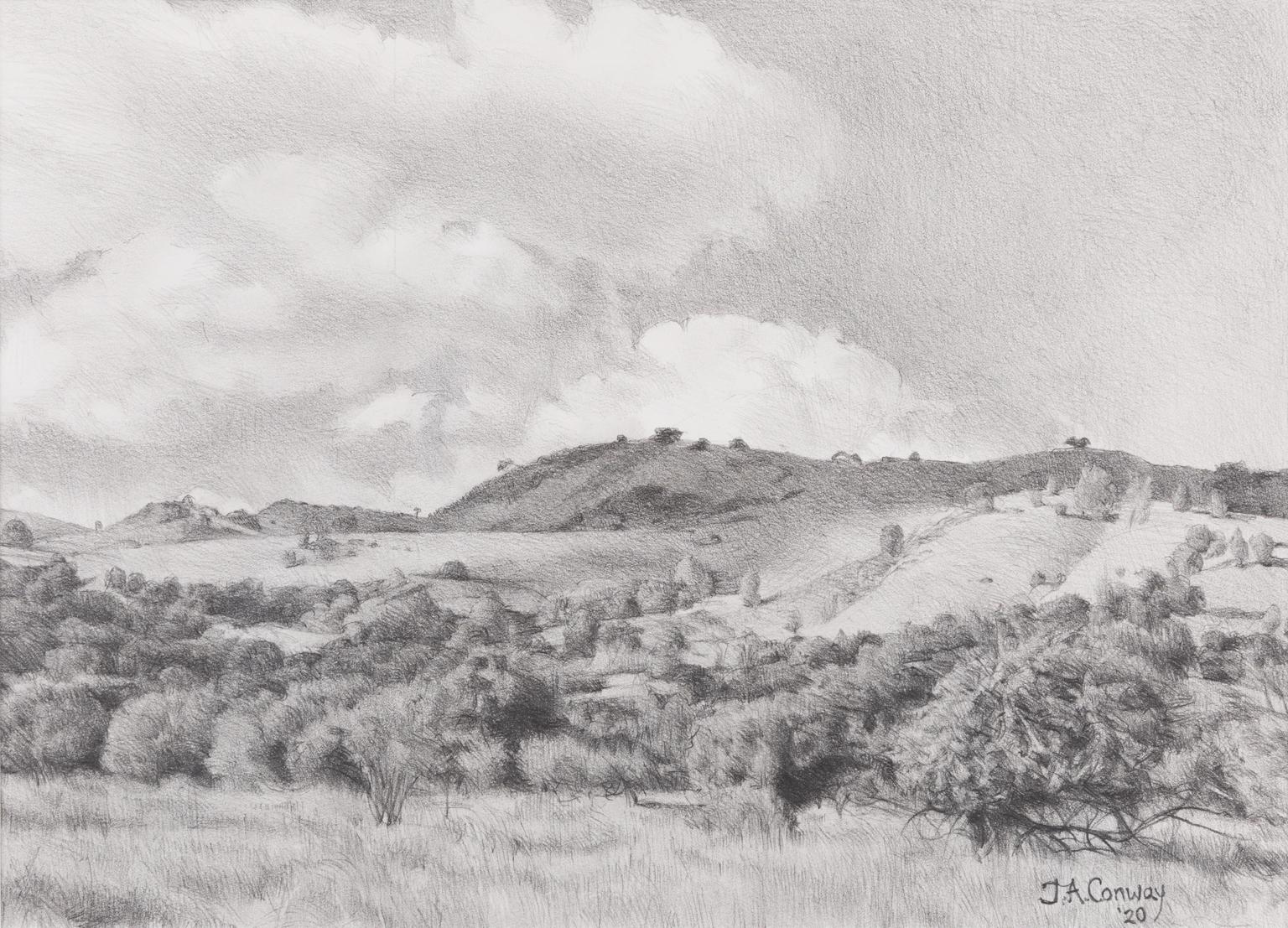 Shaded Hills of Coyote Creek - Landscape Graphite Drawing Contemporary 
