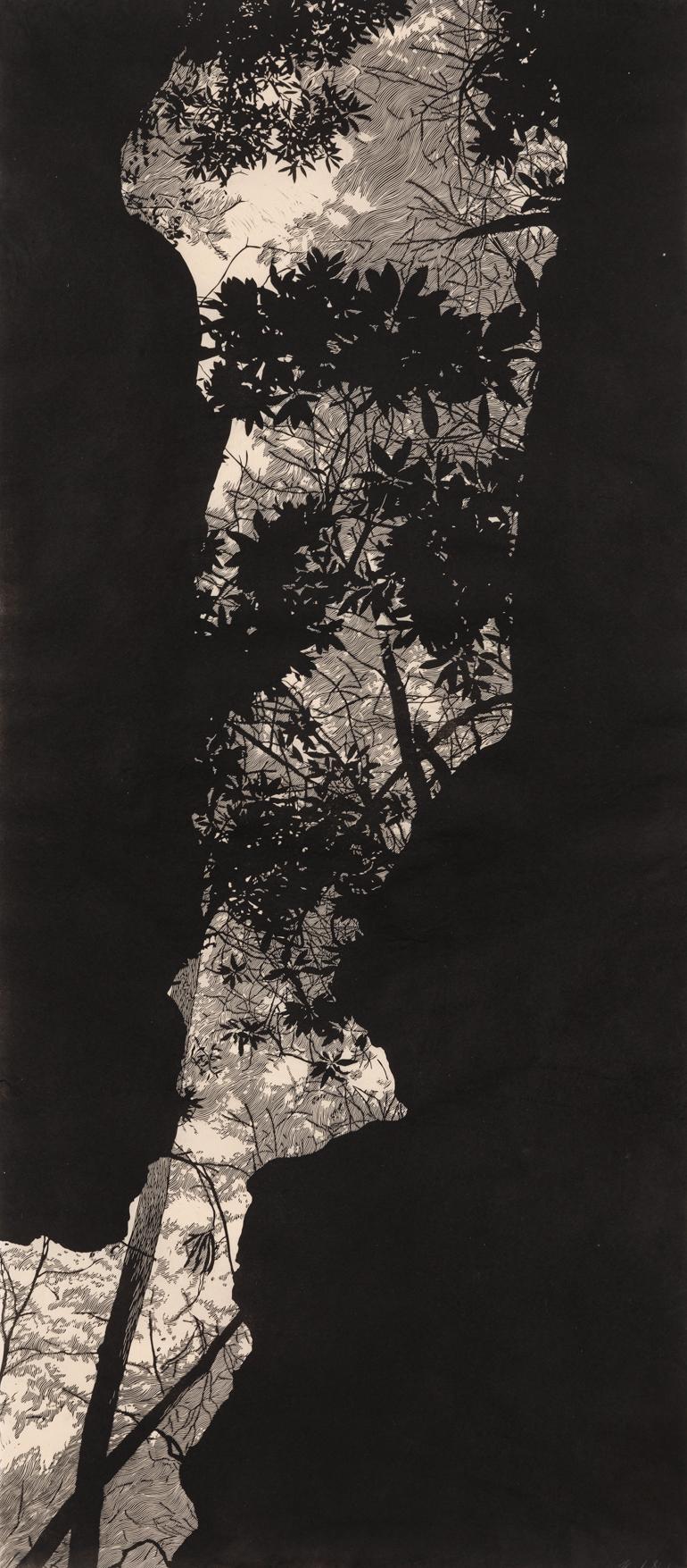 Canopy River - Linocut Print in Black and White of Forest Through Rocky Crevice