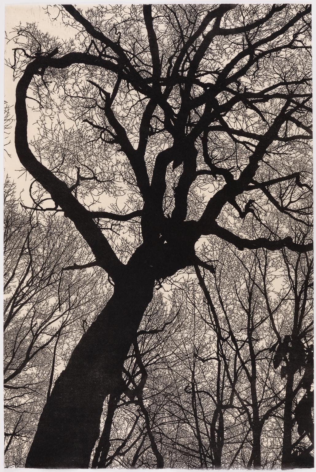 Nacht Descends on Mountain – Gerahmter Linolschnitt-Druck einer Baum-Silhouette