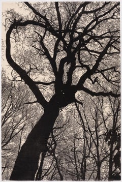 Nacht Descends on Mountain – Gerahmter Linolschnitt-Druck einer Baum-Silhouette