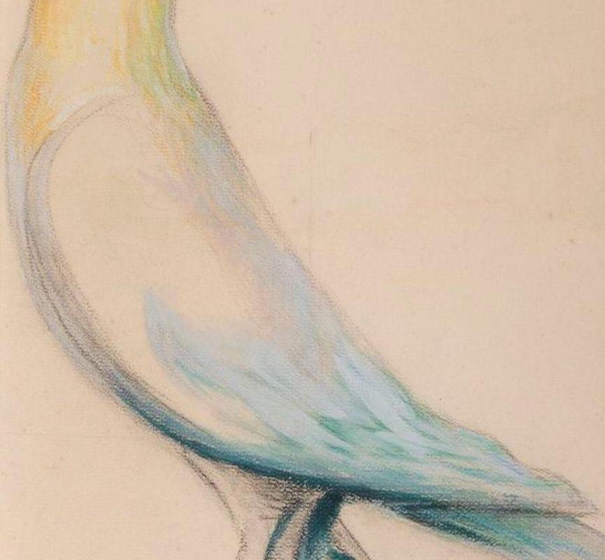 Pigeon, von Gustave Miklos, Tiere, Zeichnung, Arbeit auf Papier, Skulpturenstudie im Angebot 1