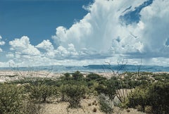 Dry Ocotillos, 1989