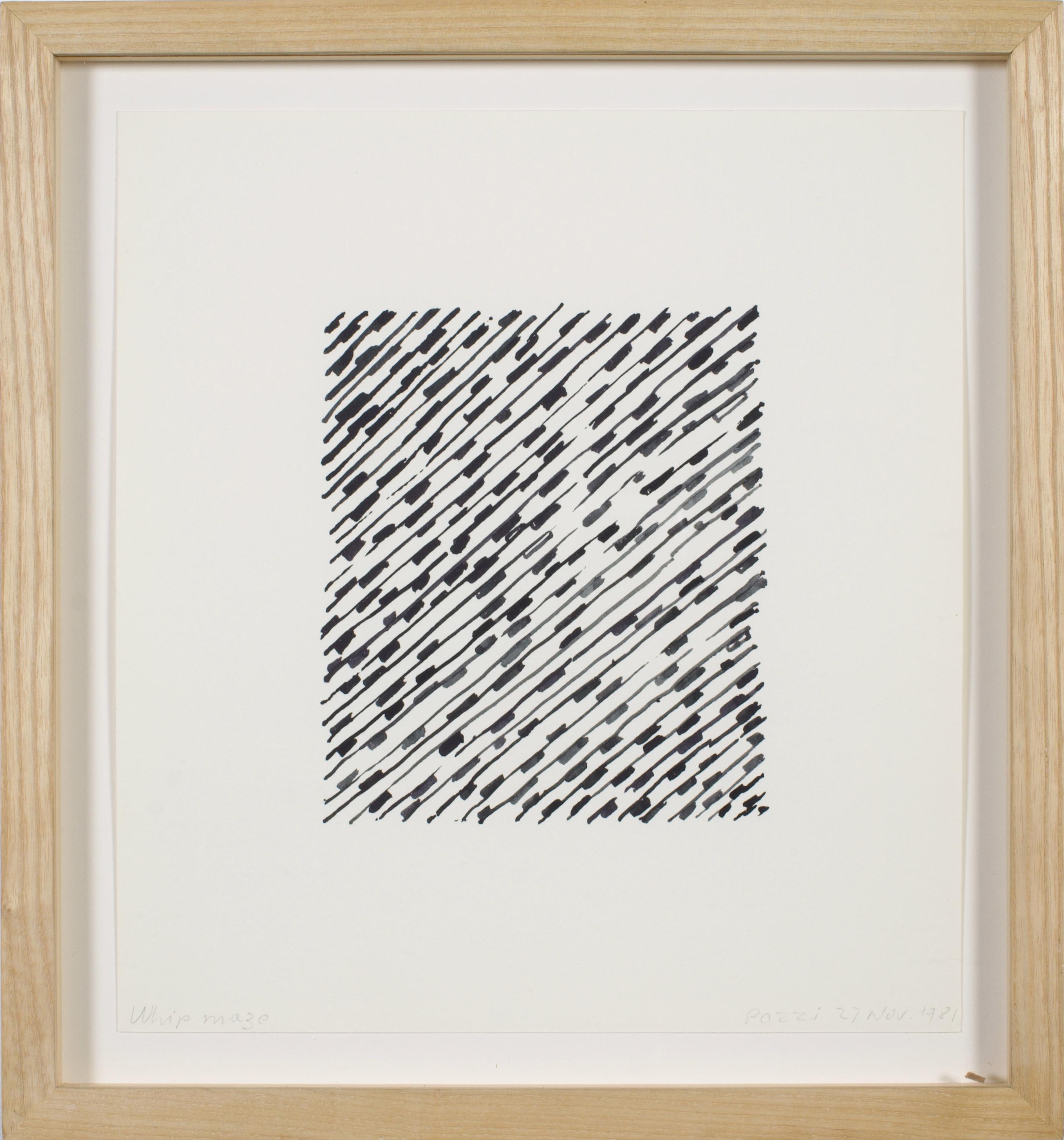 Whip Maze - Art by Lucio Pozzi