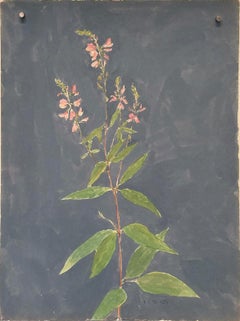 Vintage untitled (wildflower)