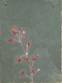 Vintage untitled (wildflower)