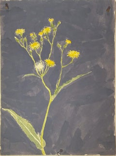 Vintage untitled (wildflower)