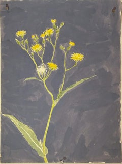 untitled (wildflower)