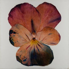 Project "Aesthetics of withering", "Plant", 110x110cm