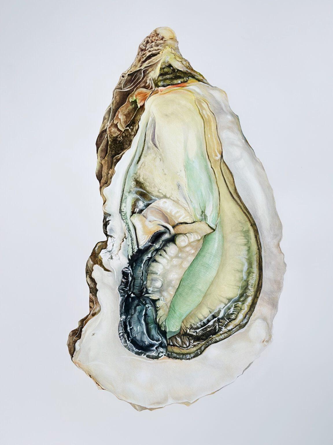 sexual desire (oyster), pencil, watercolor, paper, 100x70cm - Art by Elena Brauschenberg