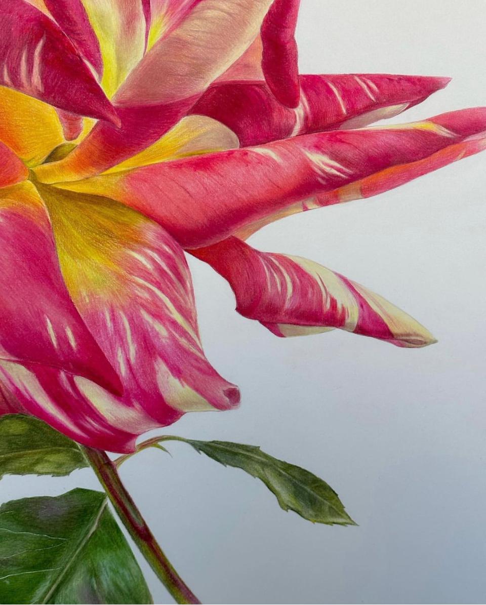 Flower, pencil, watercolor, paper, 100x70cm

Elena Braushenberg
Hyperrealistic and Botanical Art.
Elena is living in Germany.