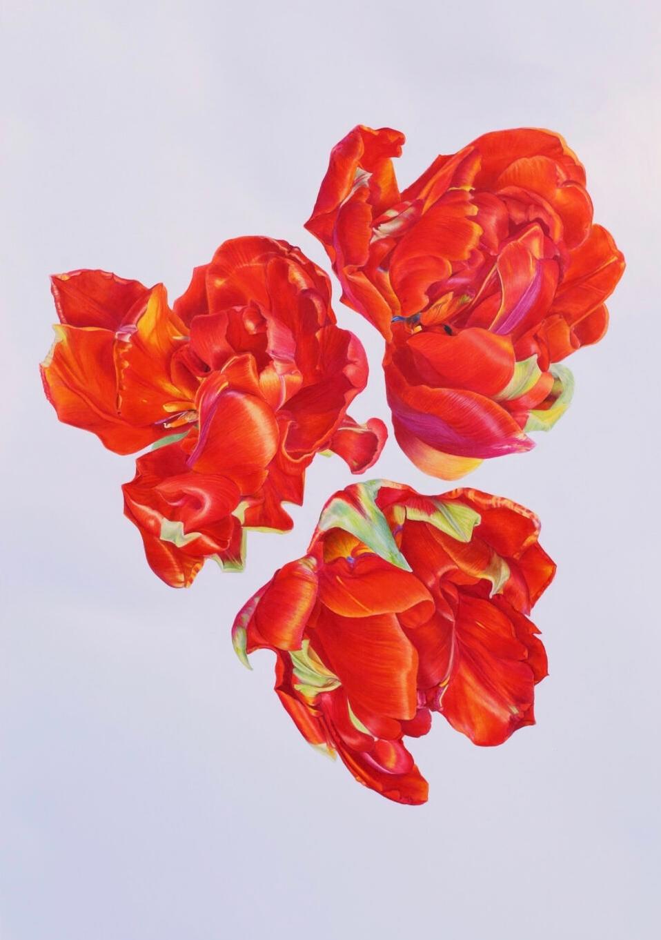 Flower, pencil, watercolor, paper, 100x70cm - Art by Elena Brauschenberg