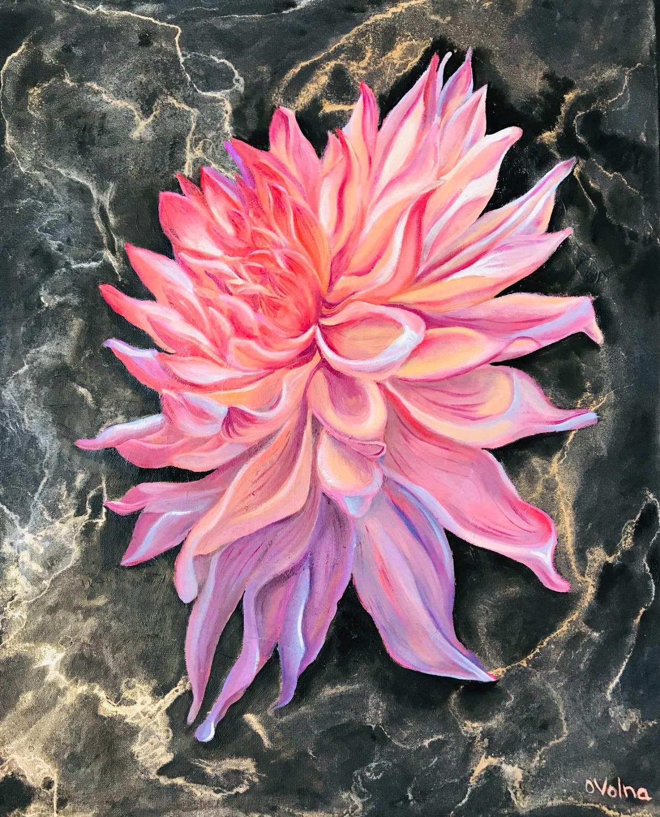 Pink Dahlia , 60x50 cm, oil/canvas - Painting by Olga Volna