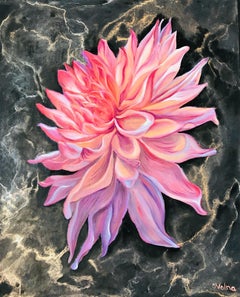 Dahlia rose, 60x50 cm, huile/toile