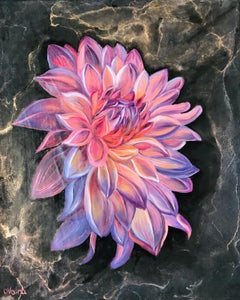 Rosa Dahlia , 60x50 cm, Öl/Leinwand