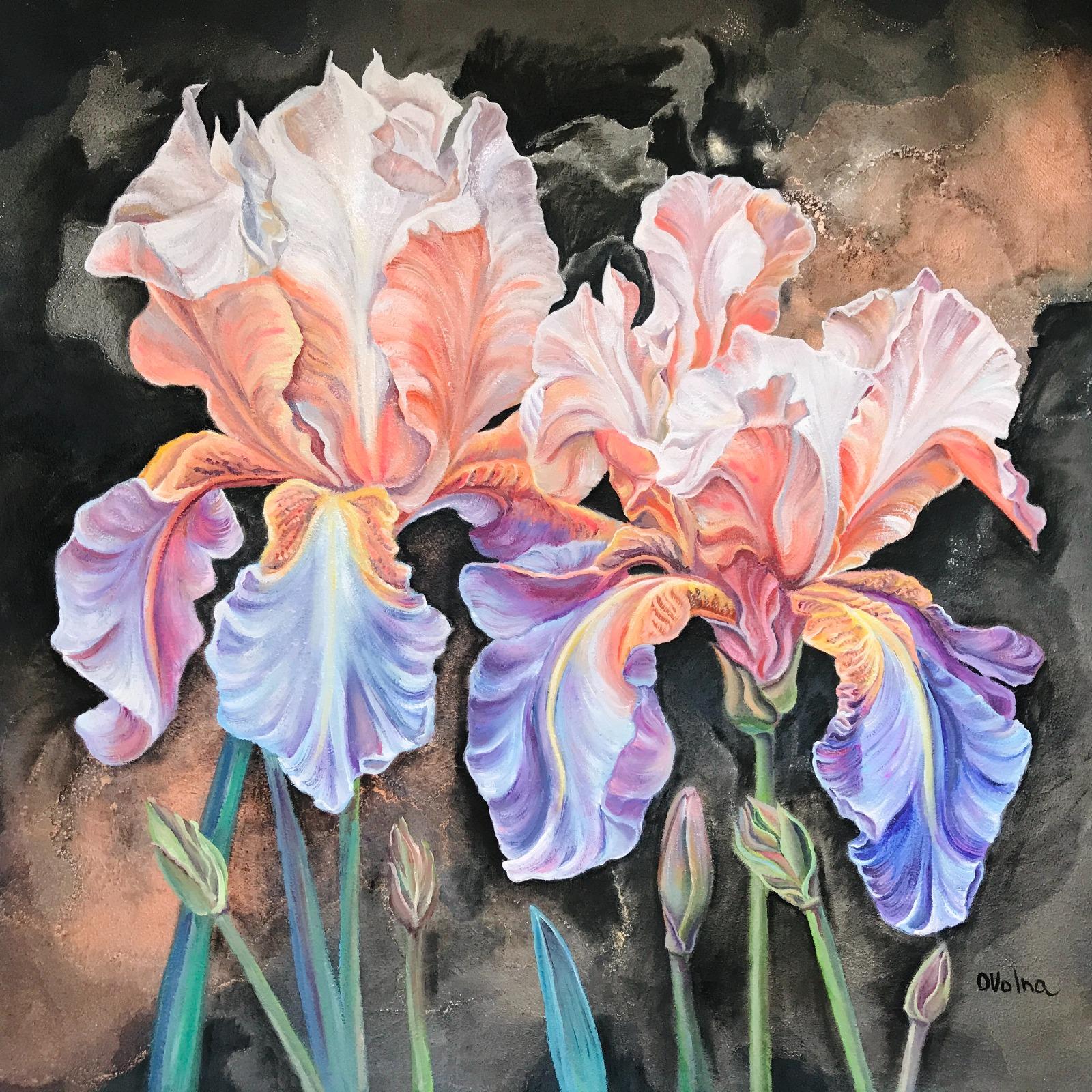 Flaming irises , 80х80 cm, oil/canvas