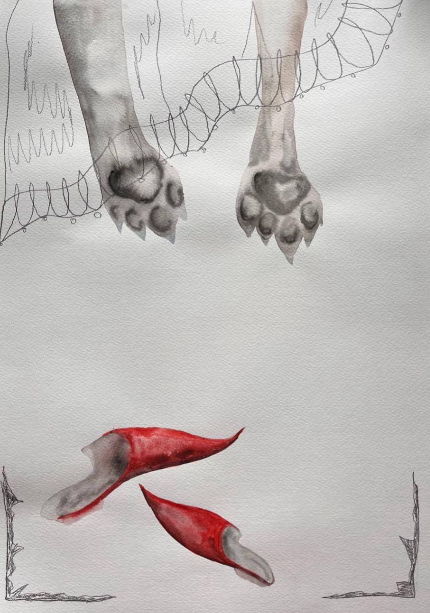 Lupa, 40x30 cm, Acquerello, carta, matita