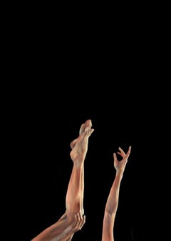 Pas tout ce qui tombe du ciel - oiseau, toile / huile 130x90 cm