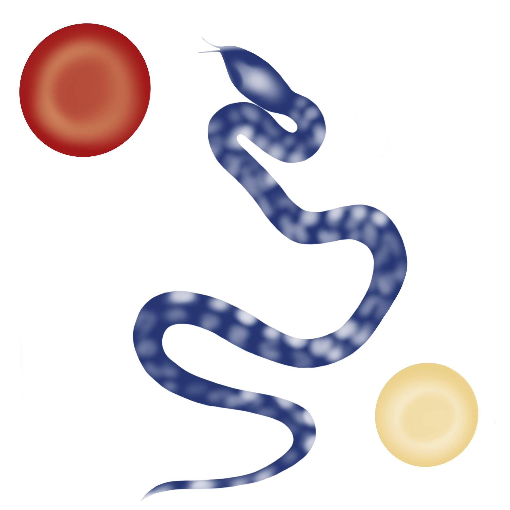 Soleil et lune , 90x90cm, impression sur toile, édition 20 pcs.