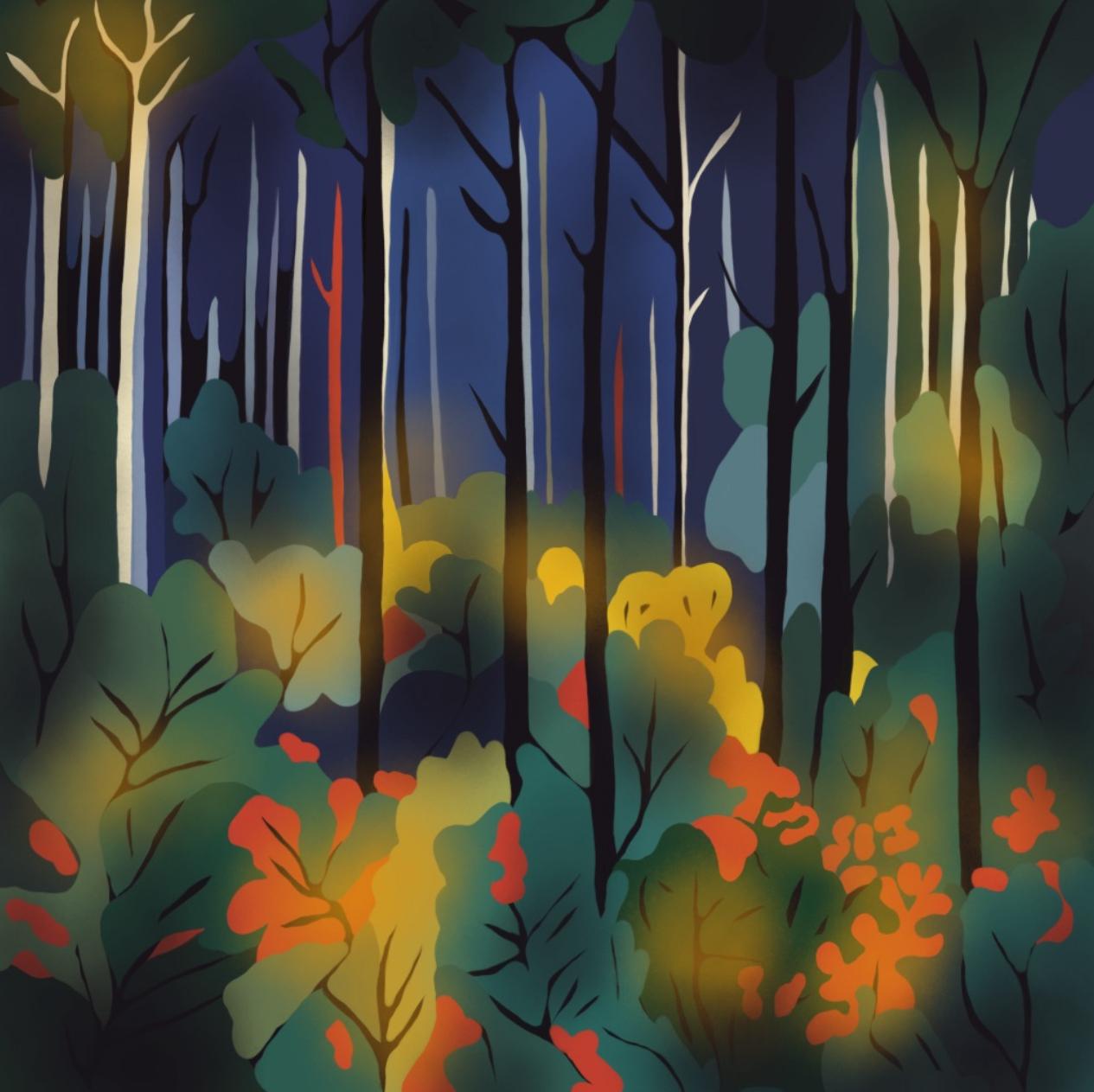 Mystérieuse forêt, 70x70cm, impression sur toile, édition 20 pièces. - Art de Nina Tsoriti