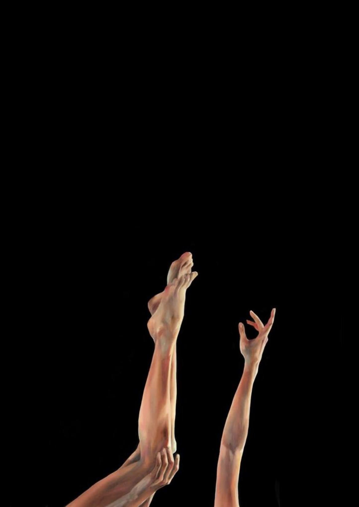 Not everything that falls from the sky - bird, canvas / oil 130x90 cm