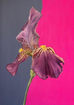 My other half, 70x50cm, huile sur toile