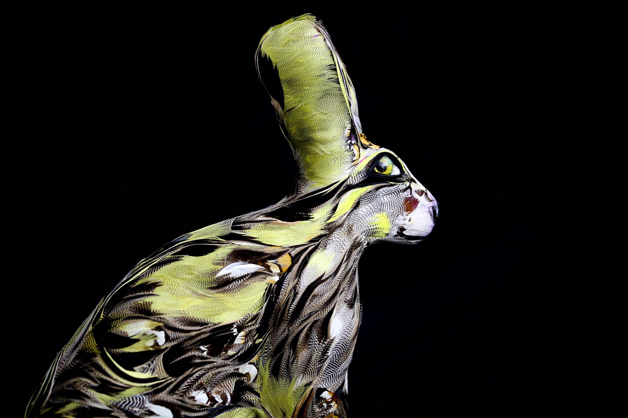 Leonard, Hare, feathers on resin, animal sculpture Laurence Le Constant 2