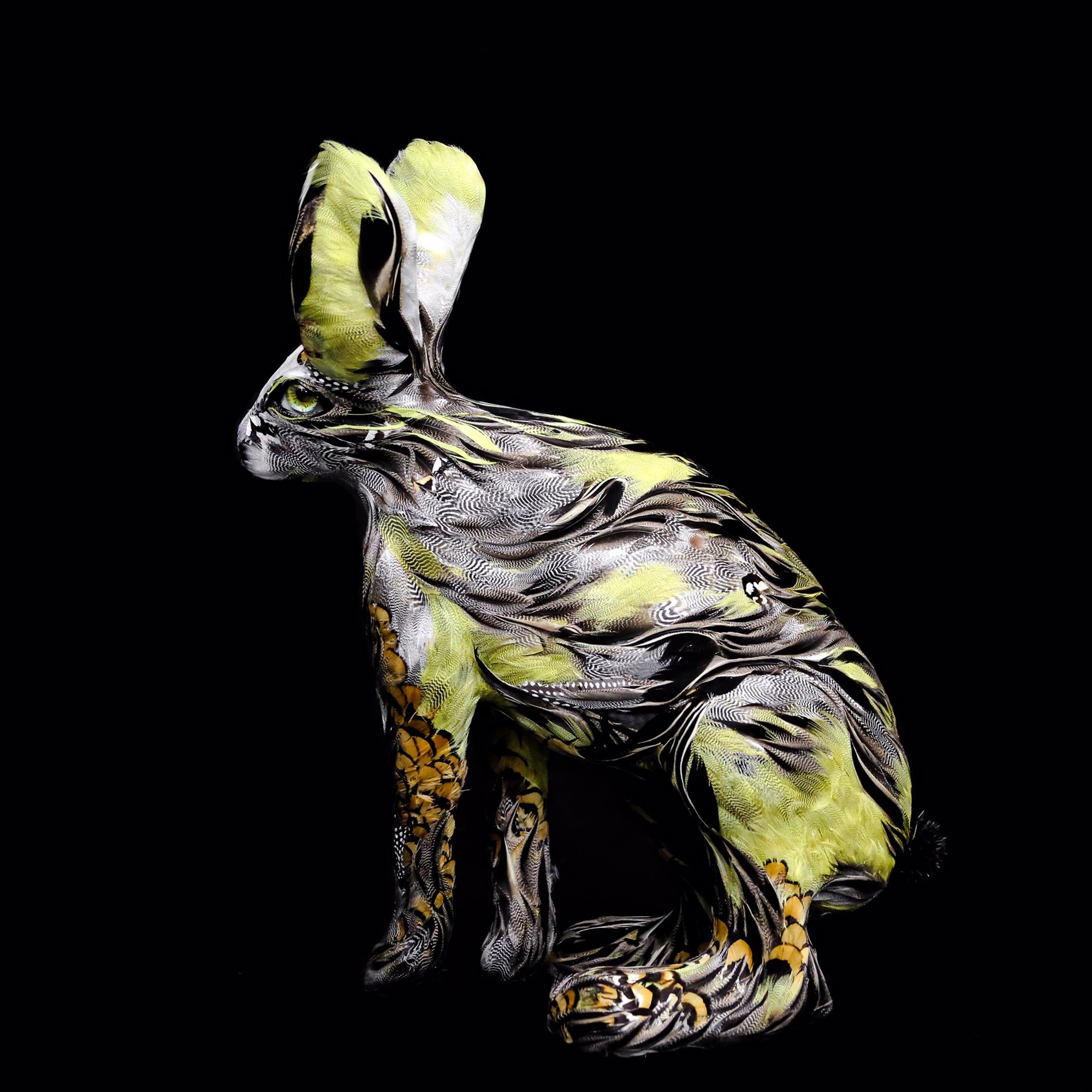 Leonard, Hare, feathers on resin, animal sculpture Laurence Le Constant 3