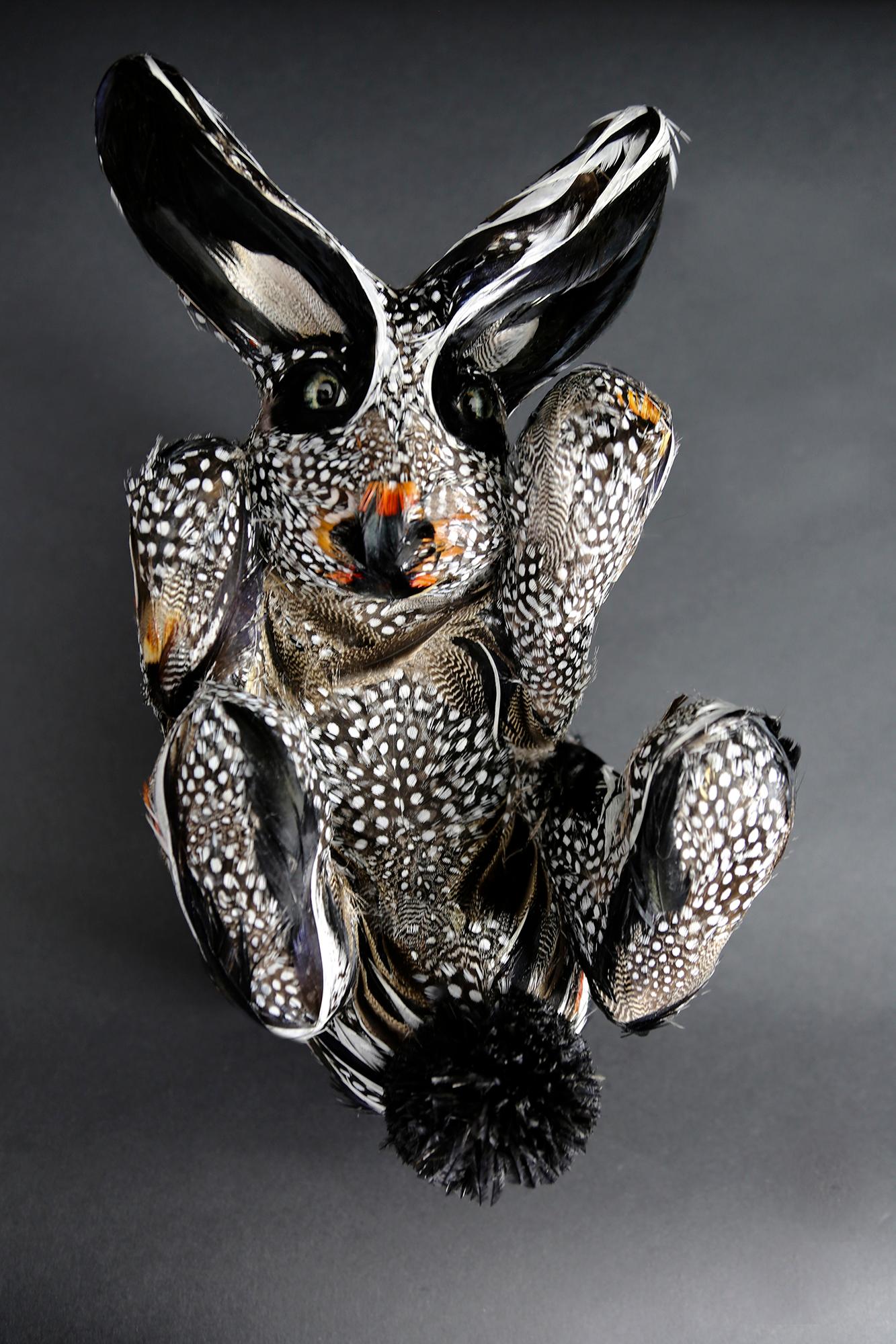 Maurice, is a unique work of the French contemporary artist Laurence Le Constant (1976). 
The rabbit is a resin sculpture, covered with recycled feathers of duck, guinea fowl and pheasant. Eyes are in glass, and muzzle in leather.
The work of