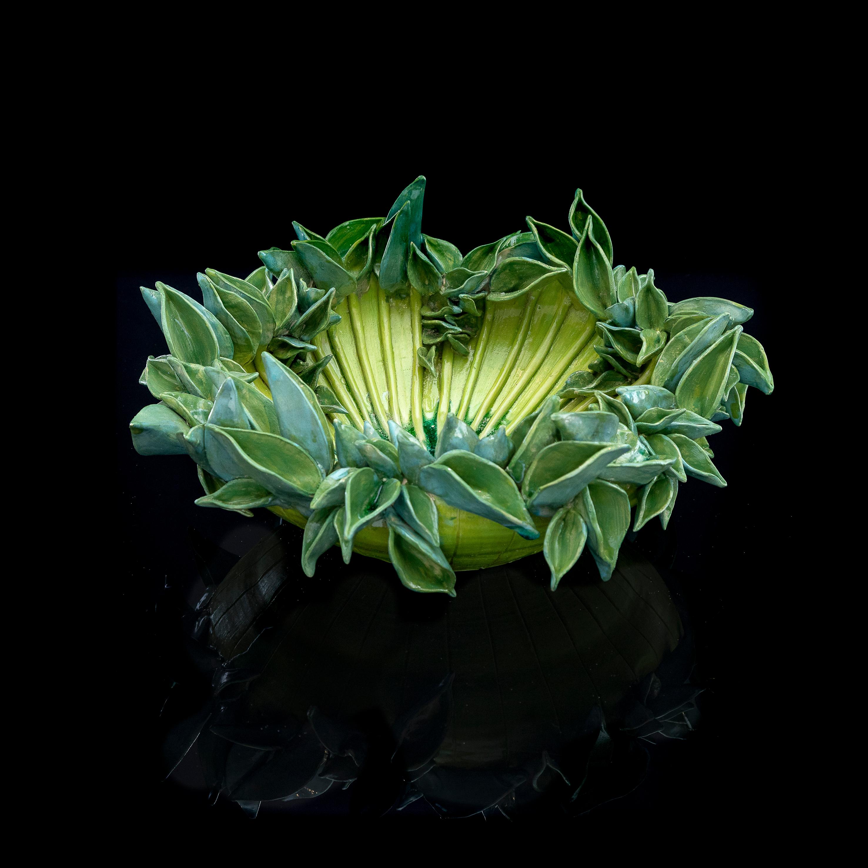 Green Flower Sea Anemone - a secret worlds inside these flowers, green, black 