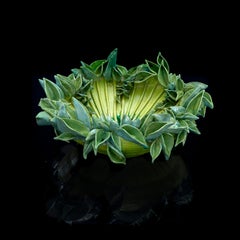 Green Flower Sea Anemone - a secret worlds inside these flowers, green, black 