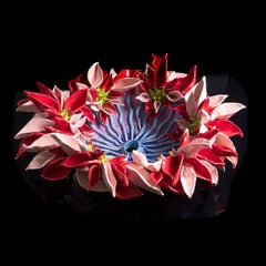 Pink and Red Flower Anemone 2 - inspired from flowers and plants, red, white