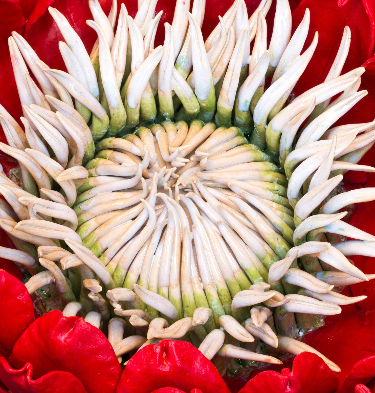 Red Protea - the secret worlds inside these flowers, red, white, green, yellow - Sculpture by Frances Doherty