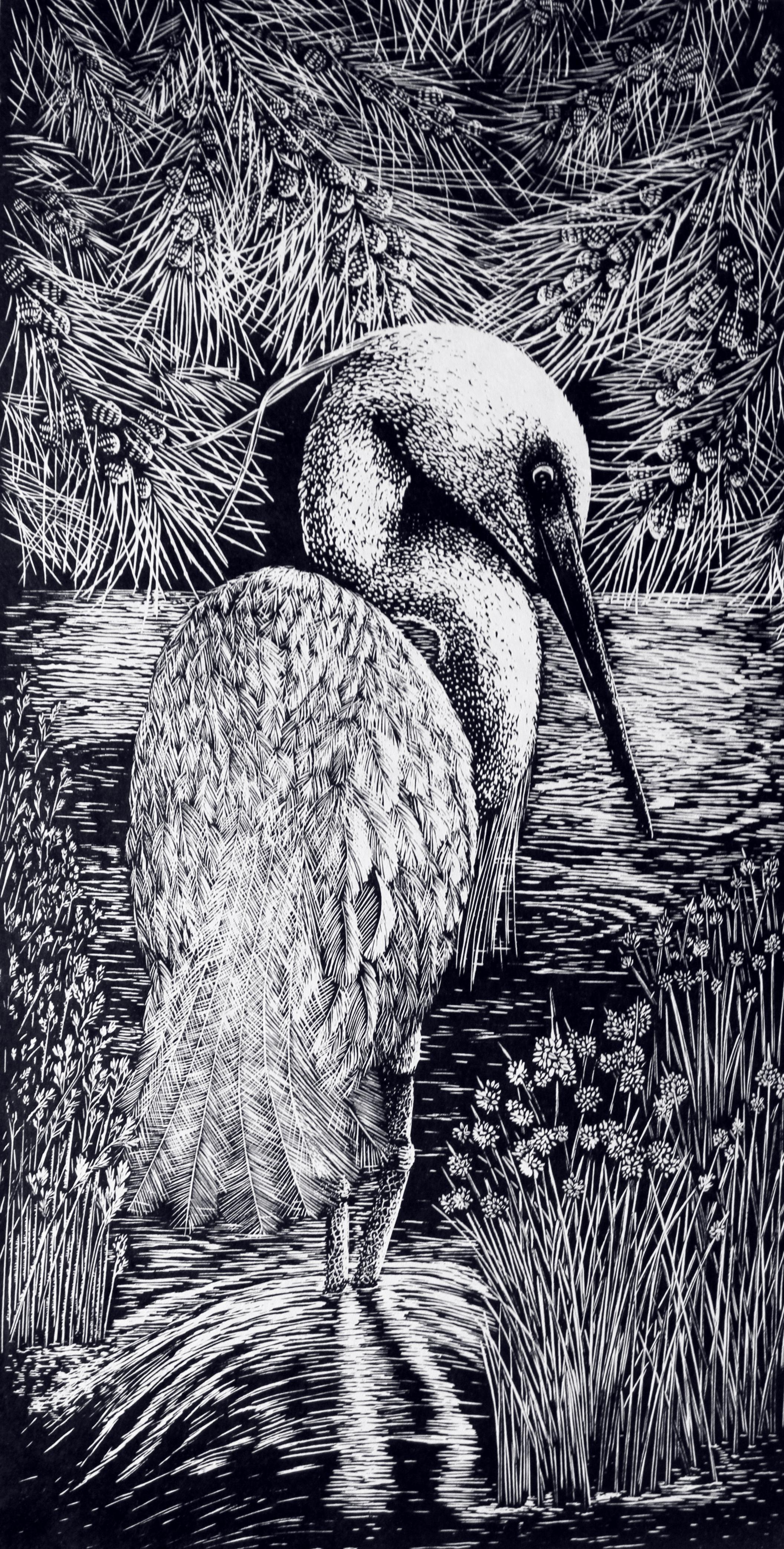 Shallow Waters I - Relief Linocut Print of Australian Bird in a Waterhole - Art by Peta West