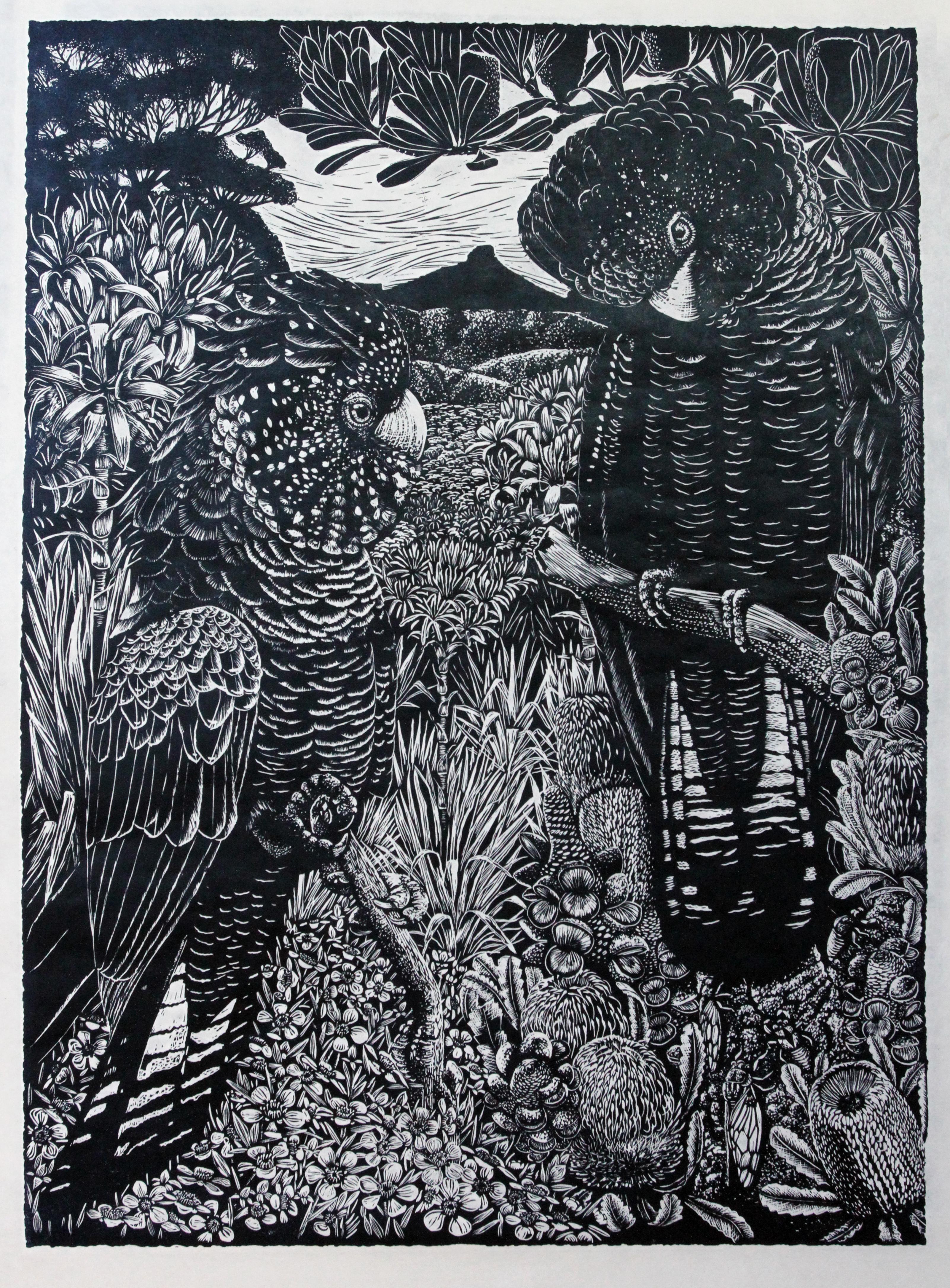 Peta West Animal Print - This is Yuin Country - Relief Linocut Print of Yellow Tailed Black Cockatoos