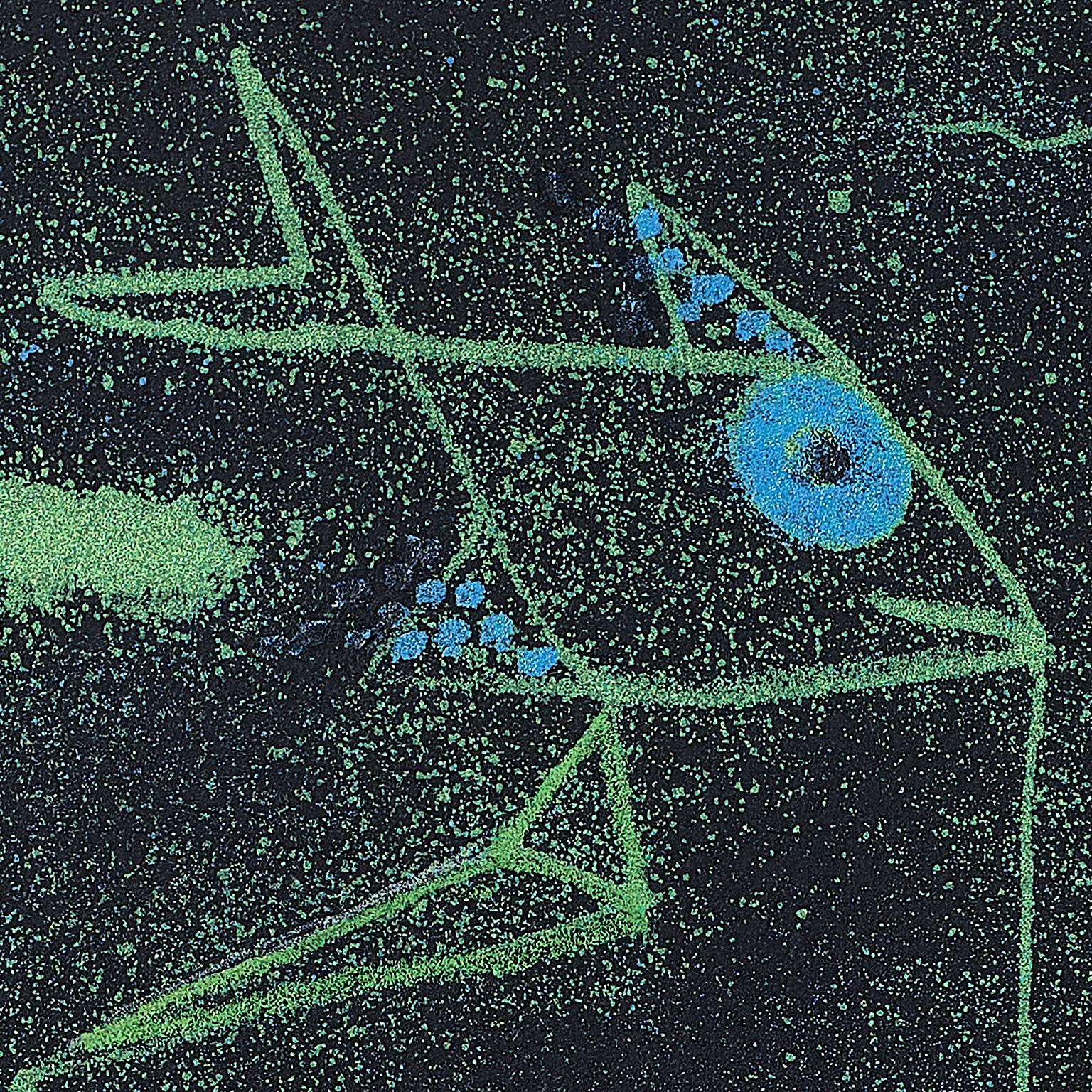 prototype unique Visage Poisson - Noir Figurative Art par Jean Cocteau