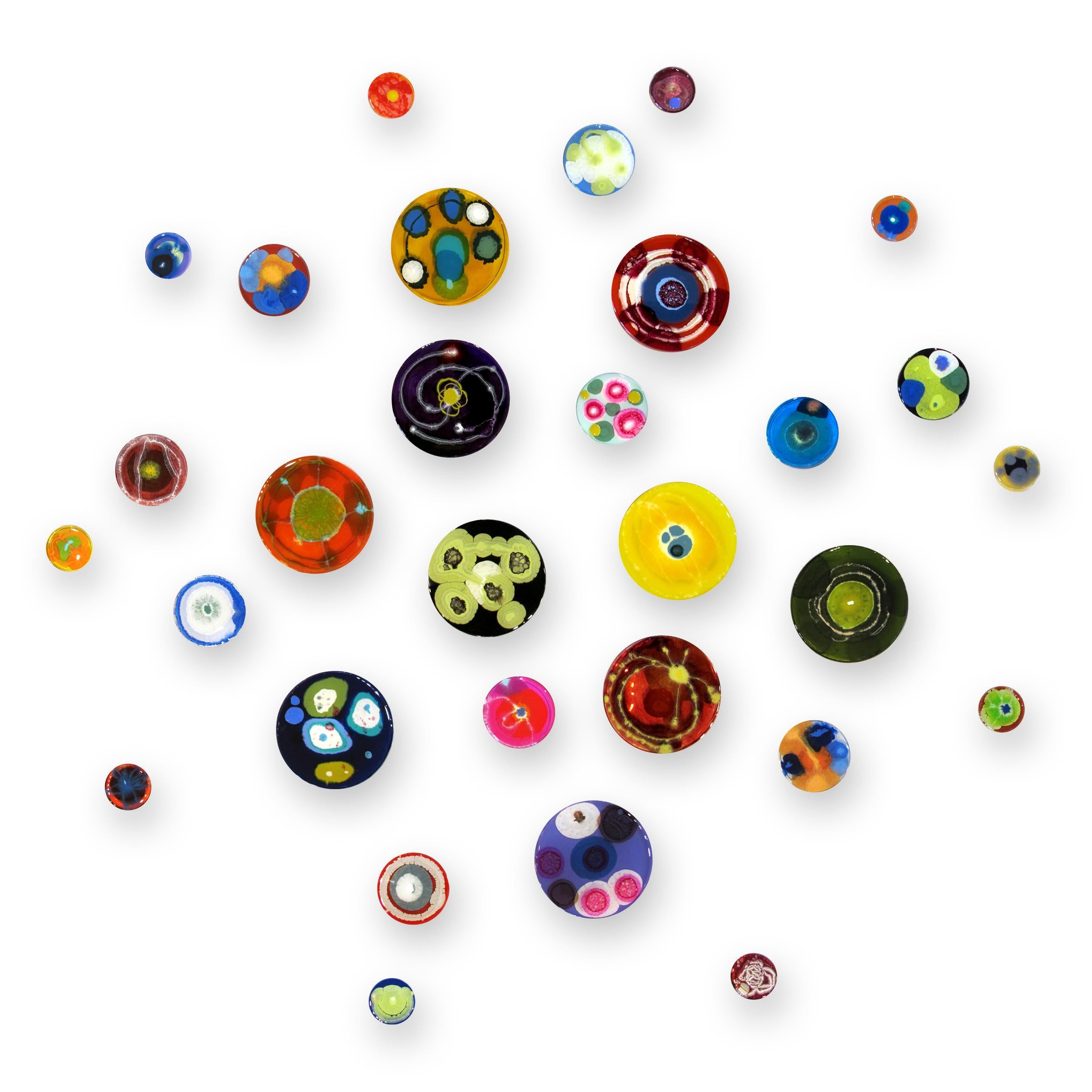 Hypochondria Exploding, 30 pieces, Mixed Media, Petri Dishes with bright colours - Art by Klari Reis