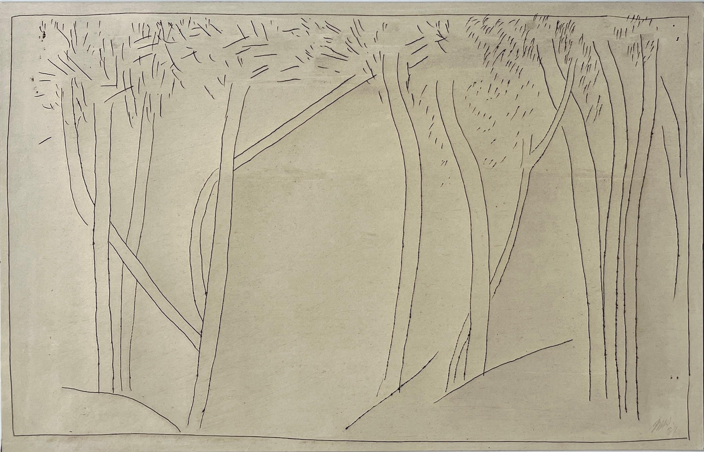Jack Hooper
"Tree Landscape"
1981
Ink on glossy paper
11"x7" unframed
Signed and dated in pencil lower right

Embrace the serene beauty of nature through this abstract line drawing by artist Jack Hooper. Inspired by the essence of simplicity, Hooper