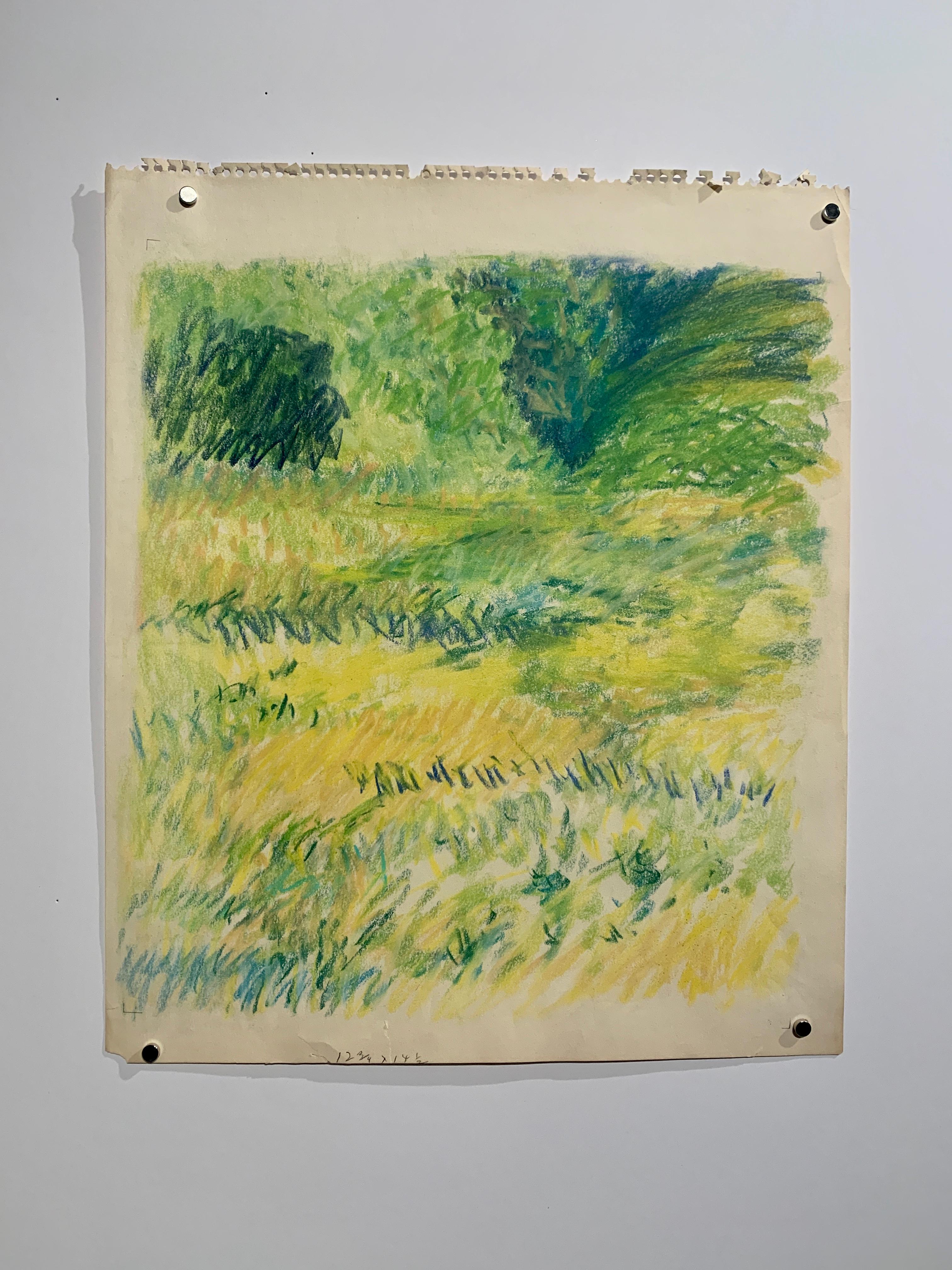 Dessin de paysage impressionniste au pastel jaune brillant d'une artiste féminine de New York, années 1960 - Art de Edith Isaac-Rose