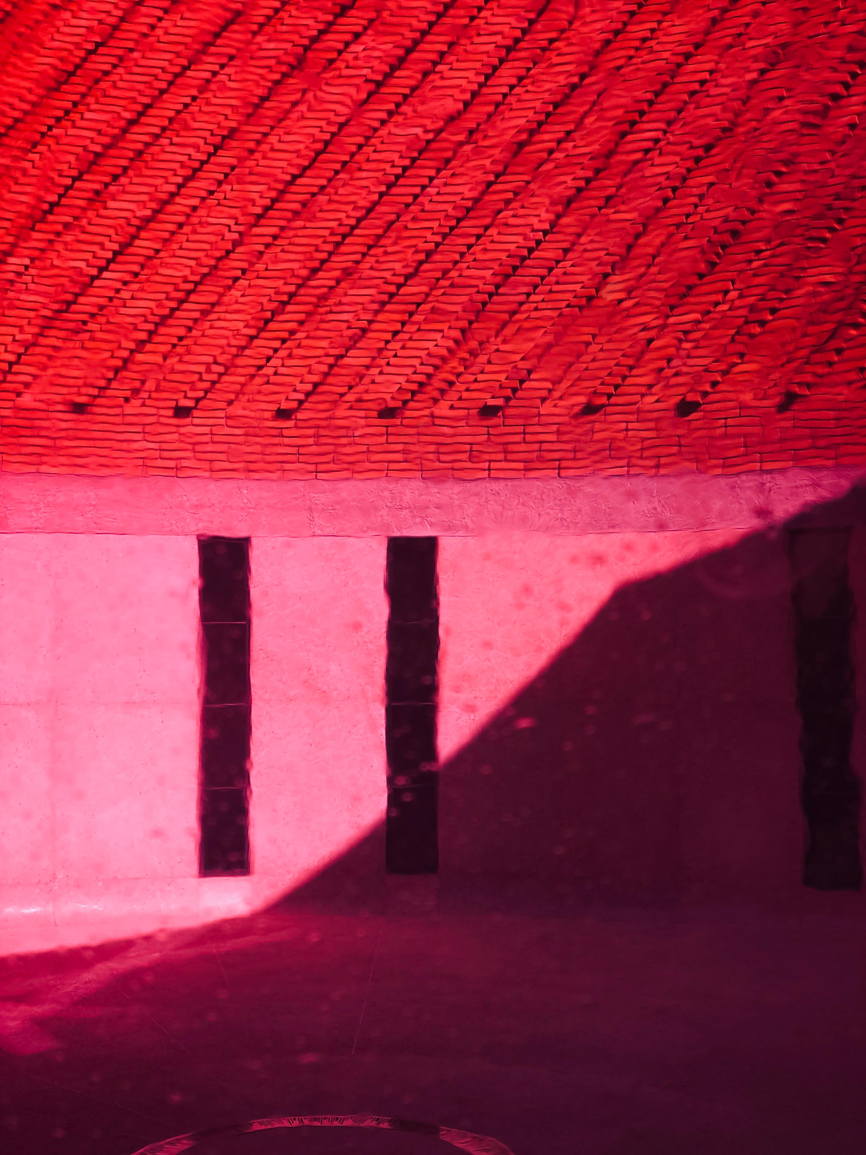 YSL / Marrakech (Rosa) de Max De Frost