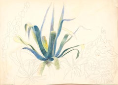 Cactus, Century Plant, Joseph Stella, c1918, Silverpoint and Crayon on Paper